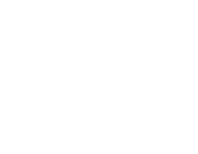 Projets web et sites internet réalisés à Haguenau – icône Nektarine